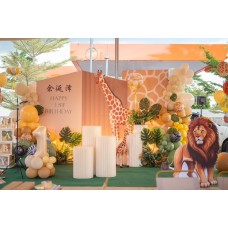 Birthday Decor